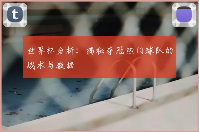 世界杯分析:揭秘夺冠热门球队的战术与数据