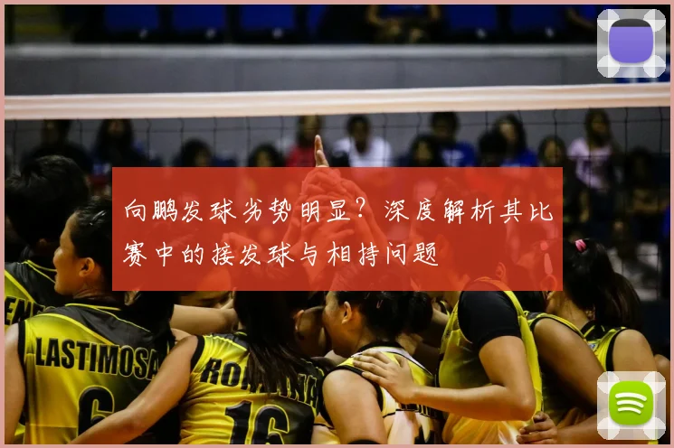 向鹏发球劣势明显?深度解析其比赛中的接发球与相持问题
